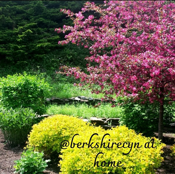 Meet your Posher, Cynthia - Picture 5 of 14